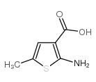2-氨基-5-甲基-3-噻吩羧酸结构式
