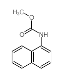 Methyl N-(1-naphthyl)carbamate结构式
