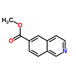 6-异喹啉甲酸甲酯图片