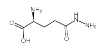 L-谷氨酸=gamma-肼结构式