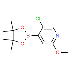 5-Chloro-2-methoxypyridine-4-boronic acid pinacol ester picture
