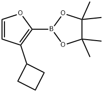 3-Cyclobutylfuran-2-boronic acid pinacol ester Structure