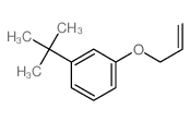 Benzene,1-(1,1-dimethylethyl)-3-(2-propen-1-yloxy)- Structure