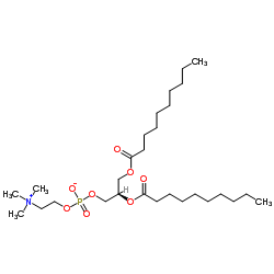 1,2-DIDECANOYL-SN-GLYCERO-3-PHOSPHOCHOLINE Structure