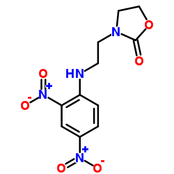 3-{2-[(2,4-Dinitrophenyl)amino]ethyl}-1,3-oxazolidin-2-one结构式