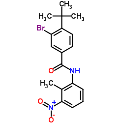 3-Bromo-N-(2-methyl-3-nitrophenyl)-4-(2-methyl-2-propanyl)benzamide结构式