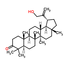 30-羟基羽扇-20(29)-烯-3-酮结构式