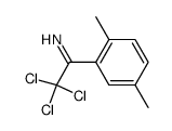 2,2,2-trichloro-1-(2,5-dimethyl-phenyl)-ethanone-imine结构式