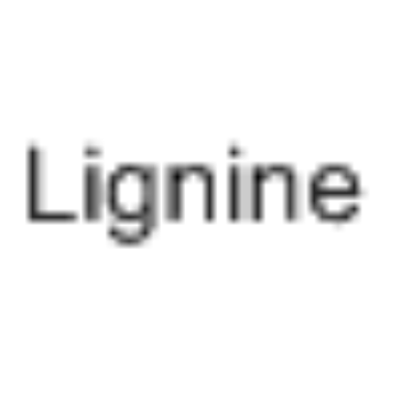 Lignine picture