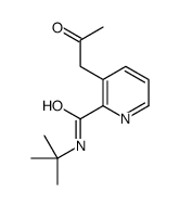 N-tert-butyl-3-(2-oxopropyl)pyridine-2-carboxamide结构式
