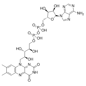 黄素腺嘌呤二核苷酸结构式