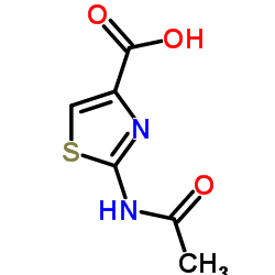 2-Acetamido-1,3-thiazole-4-carboxylic acid Structure