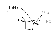 8-甲基-8-氮杂双环[3,2,1]辛-3-胺盐酸盐结构式