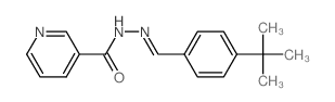N-[(4-tert-butylphenyl)methylideneamino]pyridine-3-carboxamide结构式