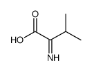 2-imino-3-methylbutanoic acid Structure