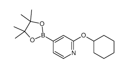 2-(Cyclohexyloxy)pyridine-4-boronic acid pinacol ester Structure