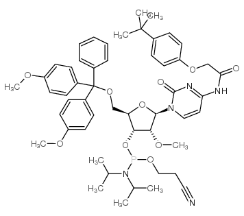 5'-O-(4,4-二甲氧基三苯甲基)-N-[[4-(叔丁基)苯氧基]乙酰基]-2'-O-甲基胞苷-3'-(2-氰基乙基-N,N-二异丙基)亚磷酰胺结构式