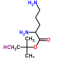 BOC-1,4-DIAMINOBUTANE HYDROCHLORIDE Structure