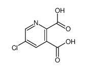 5-Chloro-pyridine-2,3-dicarboxylic acid Structure