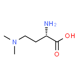 Butanoic acid, 2-amino-4-(dimethylamino)-, (S)- (9CI) Structure