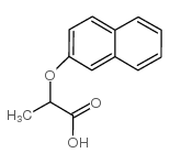 2-(2-萘氧基)丙酸结构式