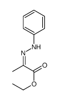 ethyl 2-(phenylhydrazinylidene)propanoate Structure