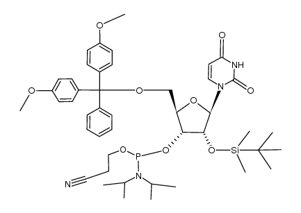 5'–O–(4,4'–dimethoxytrityl)–2'–O–tertbutyl(dimethylsilyl)uracil–3'–O–[O–(2–cyanoethyl)–N,N–(diisopropyl)]phosphoramidite Structure