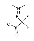 dimethylamine TFA salt Structure