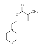 甲基丙烯酸2-吗啉基乙酯结构式