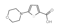 5-吗啉噻吩-2-羧酸结构式