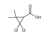 2,2-dichloro-3,3-dimethylcyclopropane-1-carboxylic acid结构式