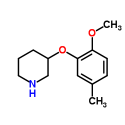 3-(2-Methoxy-5-methylphenoxy)piperidine Structure
