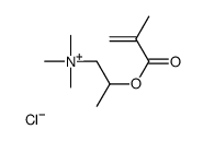 trimethyl[2-[(2-methyl-1-oxoallyl)oxy]propyl]ammonium chloride picture