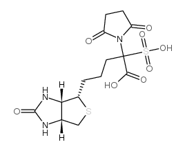 生物素-N-羟基磺酸基琥珀酰亚胺酯结构式
