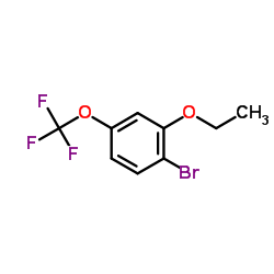 1-Bromo-2-ethoxy-4-(trifluoromethoxy)benzene结构式