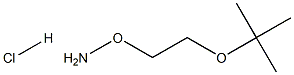 O-(2-tert-Butoxy-ethyl)-hydroxylamine hydrochloride Structure