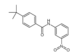 4-(tert-butyl)-N-(3-nitrophenyl)benzamide结构式