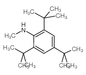 2,4,6-三叔丁基-N-甲苯胺结构式