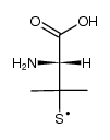 Penicillamine thiyl radical结构式