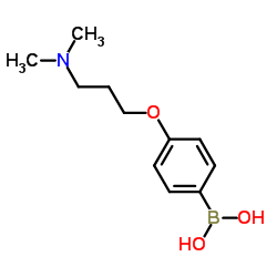 (4-(3-(二甲氨基)丙氧基)苯基)硼酸结构式