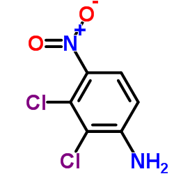BENZENAMINE, 2,3-DICHLORO-4-NITRO- Structure