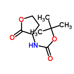 tert-butyl (2-oxotetrahydrofuran-3-yl)carbamate structure