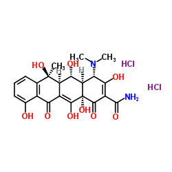 Oxytetracycline HCl picture