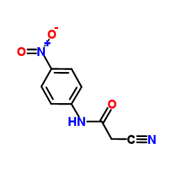 2-Cyano-N-(4-nitrophenyl)acetamide Structure