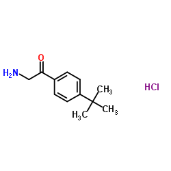 4-tert-Butylphenacylamine hydrochloride structure