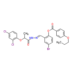 4-Bromo-2-[(E)-{[2-(2,4-dichlorophenoxy)propanoyl]hydrazono}methyl]phenyl 4-propoxybenzoate结构式