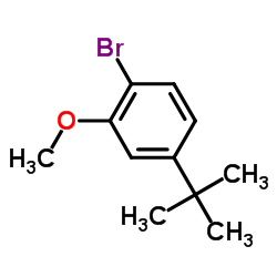 1-Bromo-2-methoxy-4-(2-methyl-2-propanyl)benzene结构式