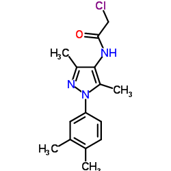 2-Chloro-N-[1-(3,4-dimethylphenyl)-3,5-dimethyl-1H-pyrazol-4-yl]acetamide结构式