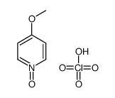 4-methoxy-1-oxidopyridin-1-ium,perchloric acid Structure