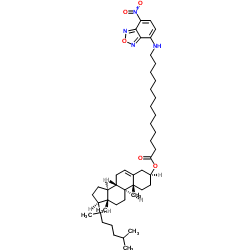5-胆甾烯-3ß-醇12-[((7-硝基-2-1,3-苯并恶二唑-4-基)氨基]十二烷酸酯结构式